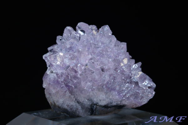 �E���O�A�C�E�A���e�B�K�X�Y�A���V�X�g���Y��ȕW�{12