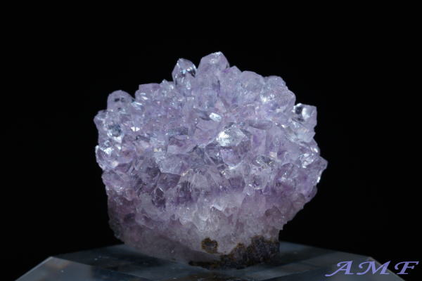 �E���O�A�C�E�A���e�B�K�X�Y�A���V�X�g���Y��ȕW�{14