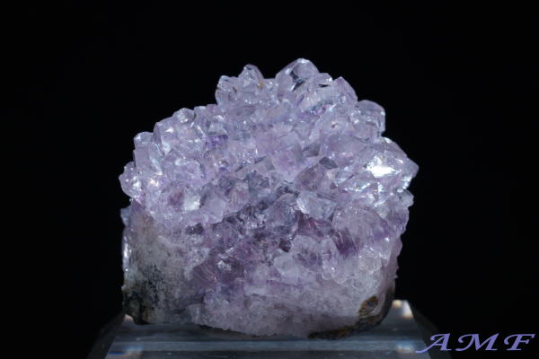 �E���O�A�C�E�A���e�B�K�X�Y�A���V�X�g���Y��ȕW�{15