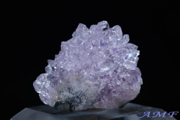 �E���O�A�C�E�A���e�B�K�X�Y�A���V�X�g���Y��ȕW�{16