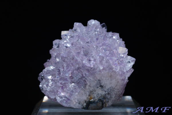 �E���O�A�C�E�A���e�B�K�X�Y�A���V�X�g���Y��ȕW�{17