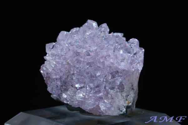 �E���O�A�C�E�A���e�B�K�X�Y�A���V�X�g���Y��ȕW�{18