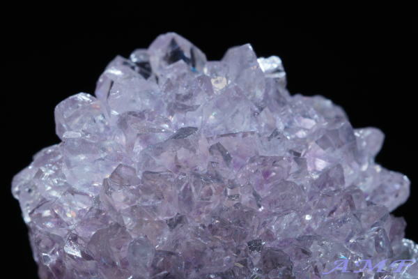 �E���O�A�C�E�A���e�B�K�X�Y�A���V�X�g���Y��ȕW�{19