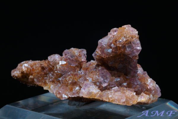 �C�^���A�E�����o���f�B�A�B�Y�t���[���C�g���Y��ȕW�{12