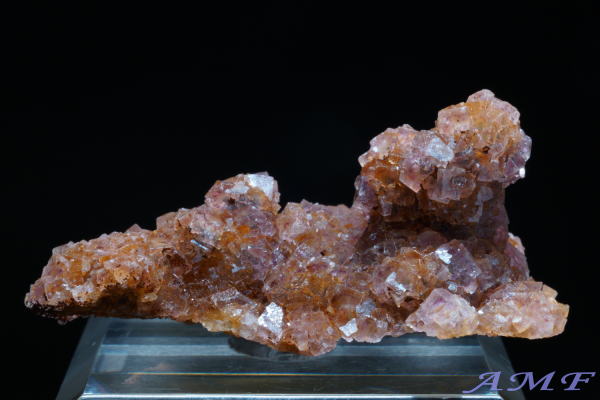 �C�^���A�E�����o���f�B�A�B�Y�t���[���C�g���Y��ȕW�{12