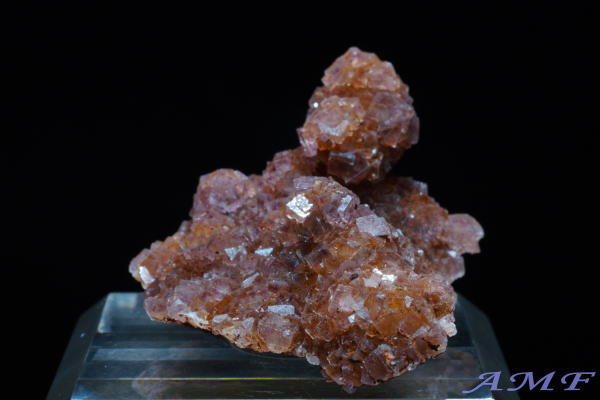 �C�^���A�E�����o���f�B�A�B�Y�t���[���C�g���Y��ȕW�{12