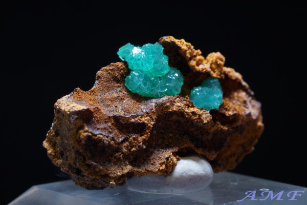 �M���V���Y�L���v���A���A�_�}�C�g���Y��ȕW�{12