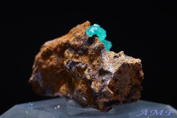 �M���V���Y�L���v���A���A�_�}�C�g���Y��ȕW�{14