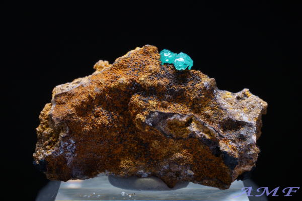 �M���V���Y�L���v���A���A�_�}�C�g���Y��ȕW�{15