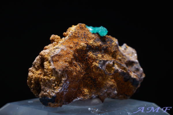 �M���V���Y�L���v���A���A�_�}�C�g���Y��ȕW�{16