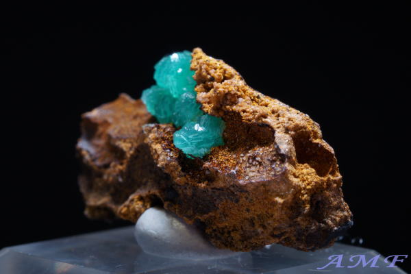 �M���V���Y�L���v���A���A�_�}�C�g���Y��ȕW�{18