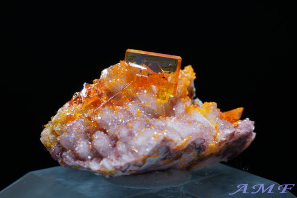 �A���]�i�B���[���[�z�R�Y�E���t�F�i�C�g���Y��ȕW�{52