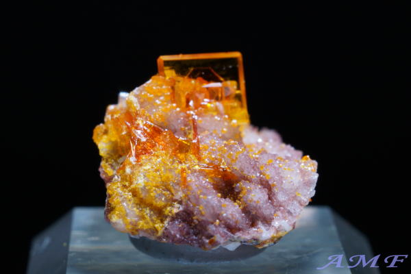 �A���]�i�B���[���[�z�R�Y�E���t�F�i�C�g���Y��ȕW�{53