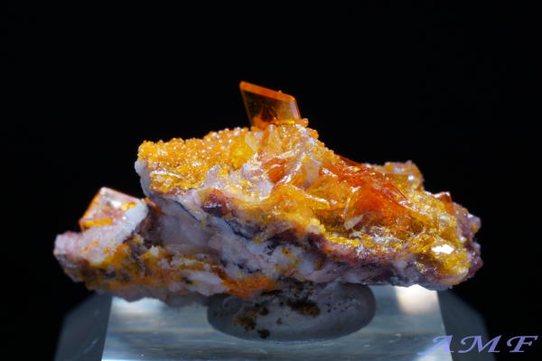 �A���]�i�B���[���[�z�R�Y�E���t�F�i�C�g���Y��ȕW�{55