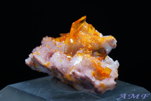 �A���]�i�B���[���[�z�R�Y�E���t�F�i�C�g���Y��ȕW�{58