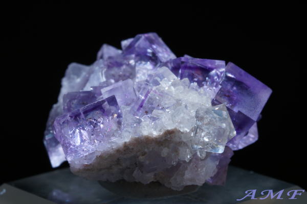 �X�y�C���E�A�X�g�D���A�X�B�Y�p�[�v���t���[���C�g���Y��ȕW�{84