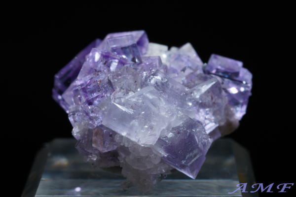 �X�y�C���E�A�X�g�D���A�X�B�Y�p�[�v���t���[���C�g���Y��ȕW�{87