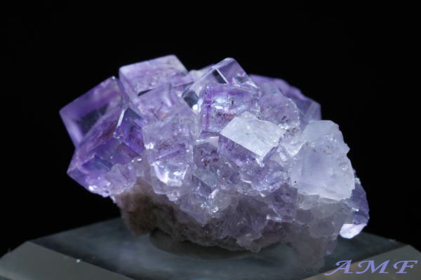 �X�y�C���E�A�X�g�D���A�X�B�Y�p�[�v���t���[���C�g���Y��ȕW�{88