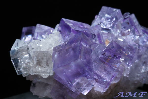 �X�y�C���E�A�X�g�D���A�X�B�Y�p�[�v���t���[���C�g���Y��ȕW�{89