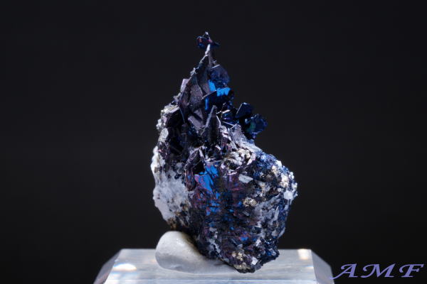 �A�����J�E�����^�i�B�Y�R�x���C�g(����)���Y��ȕW�{13