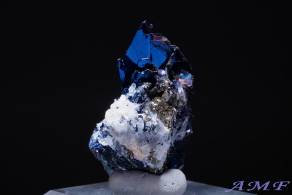 �A�����J�E�����^�i�B�Y�R�x���C�g(����)���Y��ȕW�{16