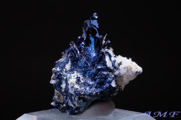 �A�����J�E�����^�i�B�Y�R�x���C�g(����)���Y��ȕW�{18