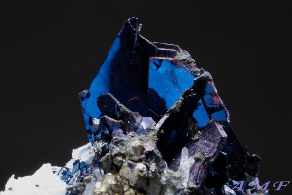 �A�����J�E�����^�i�B�Y�R�x���C�g(����)���Y��ȕW�{110