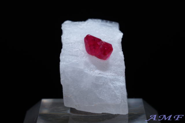 �~�����}�[�E���S�b�N�Y�X�s�l�����Y��ȕW�{51"