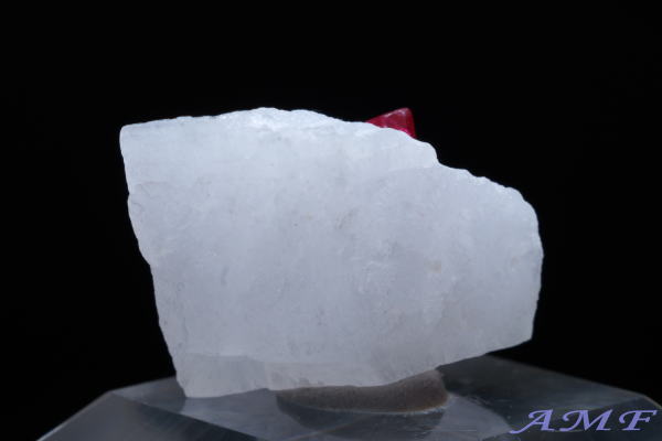 �~�����}�[�E���S�b�N�Y�s���N�X�s�l�����Y��ȕW�{54