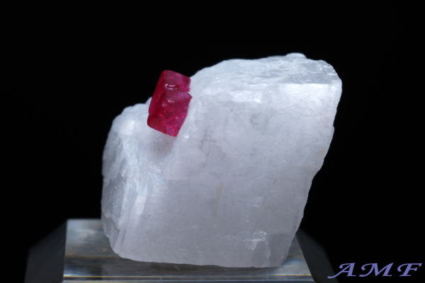 �~�����}�[�E���S�b�N�Y�s���N�X�s�l�����Y��ȕW�{57