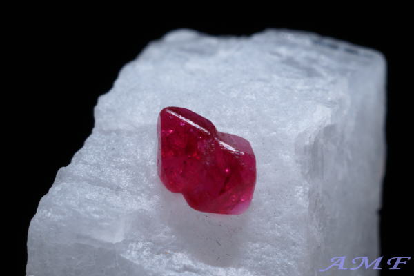 �~�����}�[�E���S�b�N�Y�s���N�X�s�l�����Y��ȕW�{59