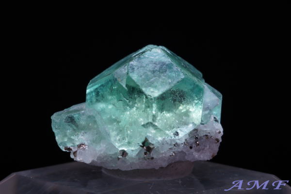 �y���[�Y�O���[���t���[���C�g���Y��ȕW�{32