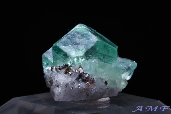 �y���[�Y�O���[���t���[���C�g���Y��ȕW�{36