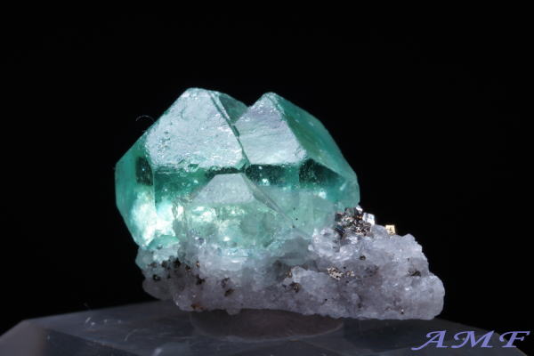 �y���[�Y�O���[���t���[���C�g���Y��ȕW�{38