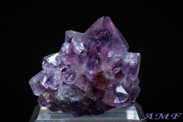 ��A�t���J�Y�A���V�X�g���Y��ȕW�{55