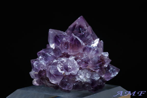 ��A�t���J�Y�A���V�X�g���Y��ȕW�{56