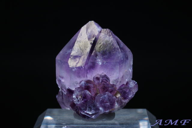 ��A�t���J�Y�A���V�X�g���Y��ȕW�{61"