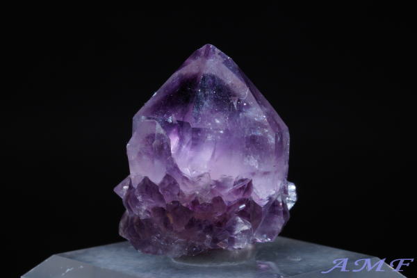 ��A�t���J�Y�A���V�X�g���Y��ȕW�{64