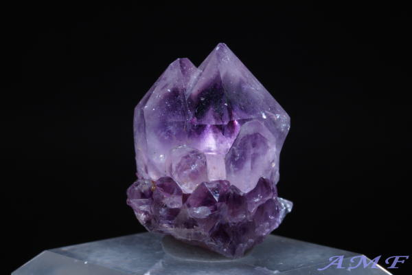 ��A�t���J�Y�A���V�X�g���Y��ȕW�{66