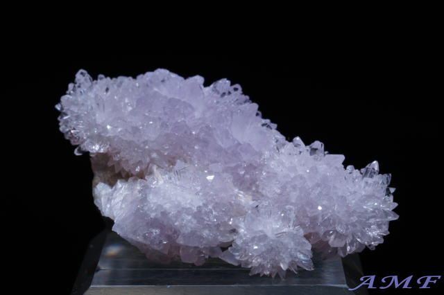 �A�����J�E�l�o�_�B�Y�p�[�v���N���[�_�C�g���Y��ȕW�{11"