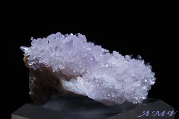 �A�����J�E�l�o�_�B�Y�p�[�v���N���[�_�C�g���Y��ȕW�{12