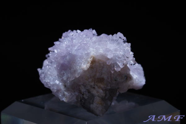 �A�����J�E�l�o�_�B�Y�p�[�v���N���[�_�C�g���Y��ȕW�{14