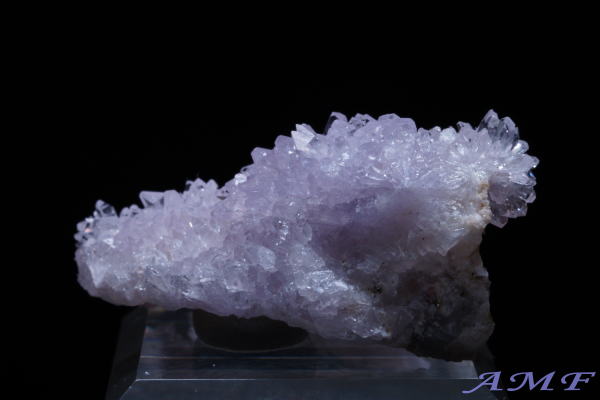 �A�����J�E�l�o�_�B�Y�p�[�v���N���[�_�C�g���Y��ȕW�{15