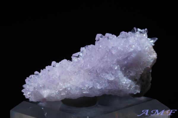 �A�����J�E�l�o�_�B�Y�p�[�v���N���[�_�C�g���Y��ȕW�{16