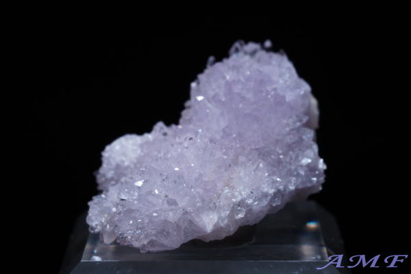 �A�����J�E�l�o�_�B�Y�p�[�v���N���[�_�C�g���Y��ȕW�{17