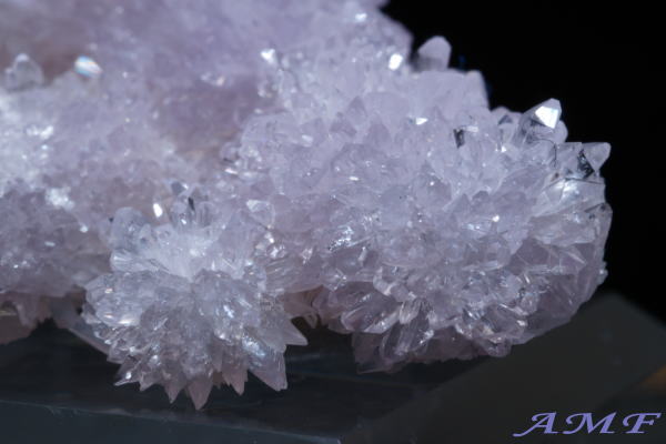 �A�����J�E�l�o�_�B�Y�p�[�v���N���[�_�C�g���Y��ȕW�{110