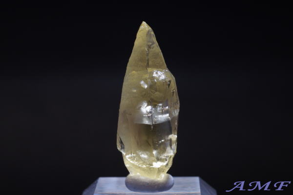 �u���W���E�G�X�s���b�g�T���g�B�Y�w���I�h�[�����Y��ȕW�{13