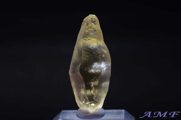 �u���W���E�G�X�s���b�g�T���g�B�Y�w���I�h�[�����Y��ȕW�{15