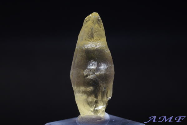 �u���W���E�G�X�s���b�g�T���g�B�Y�w���I�h�[�����Y��ȕW�{16