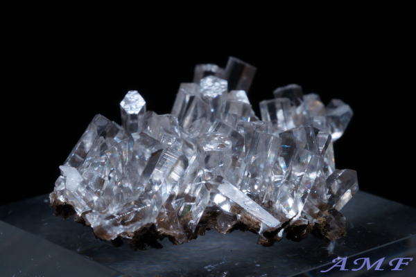 ���������ȎY�J���T�C�g���Y��ȕW�{22